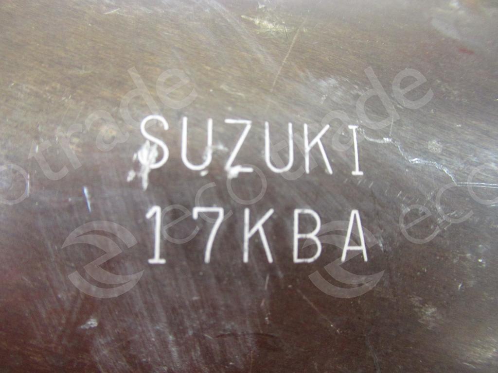 Suzuki-17KBAKatalizatoriai